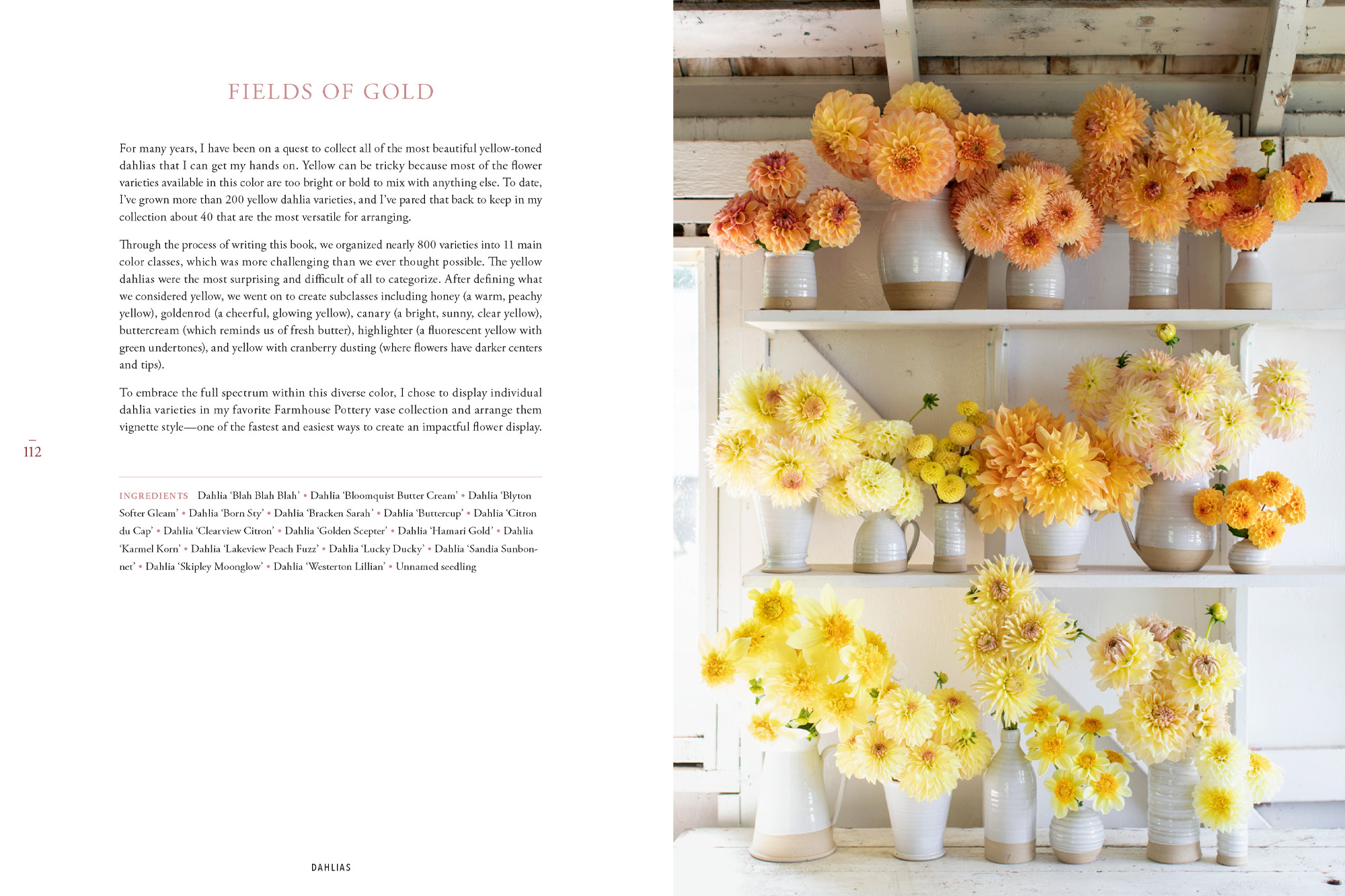 A page from Floret Farm's Discovering Dahlias