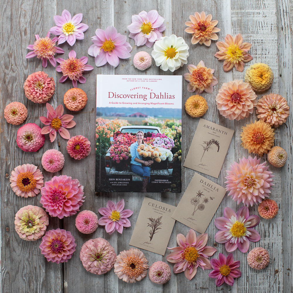Floret-shop-discovering-dahlias-seeds