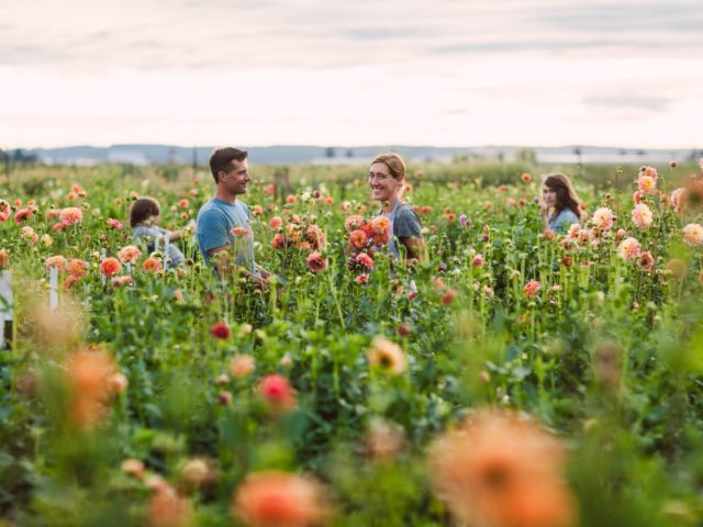 The Benzakein family in the Floret dahlias field