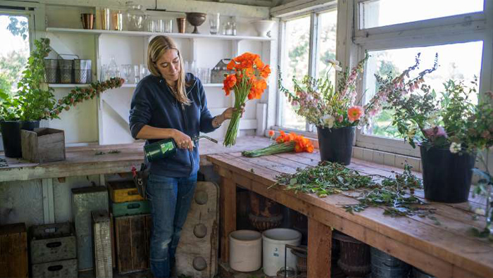 Erin Benzakein searing the ends of a handful of orange poppy blooms