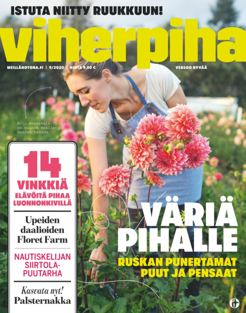 Viherpiha September 2020 Floret cover